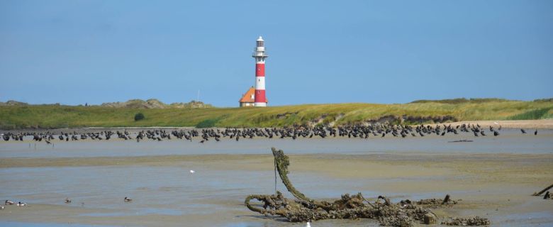 Nieuwpoort van haar fijnste kant