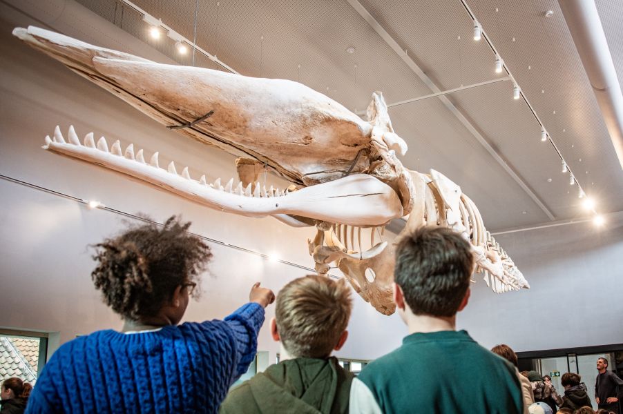 Havenrondvaart & Navigo Visserijmuseum